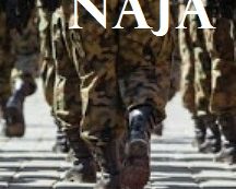 La Camera approva la riforma del servizio militare con 453 sì, arriva la mini Naja. La Camera approva la riforma del servizio militare con 453 sì, arriva la mini Naja.