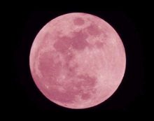Scienza: la Luna Rosa splende nel cielo di aprile, quando vederla e i suoi segreti. Scienza: la Luna Rosa splende nel cielo di aprile, quando vederla e i suoi segreti.