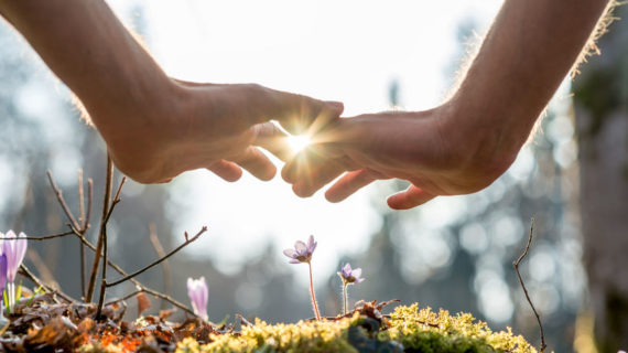 CELEBRATA MARTEDI’ 22 MAGGIO 2018 LA GIORNATA MONDIALE DELLA BIODIVERSITA’: SOSTEGNO A FLORA E FAUNA.