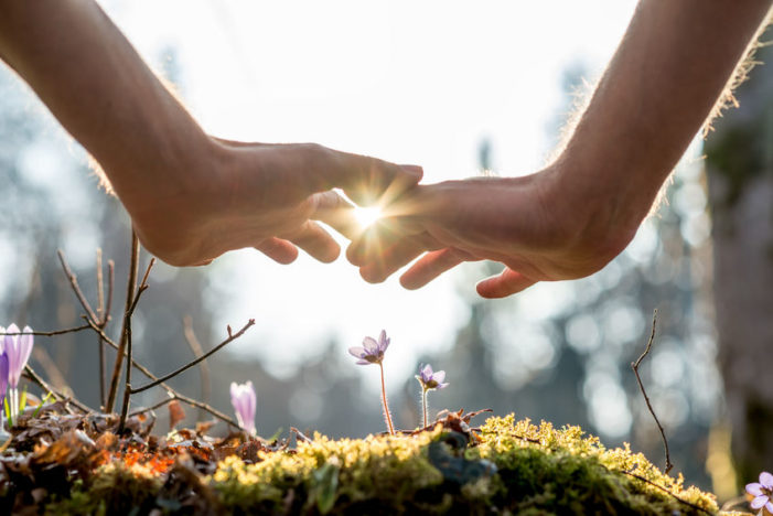 CELEBRATA MARTEDI’ 22 MAGGIO 2018 LA GIORNATA MONDIALE DELLA BIODIVERSITA’: SOSTEGNO A FLORA E FAUNA.