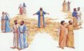 VANGELO DEL GIORNO * Domenica 15 Luglio 2018 VANGELO DEL GIORNO * Domenica 15 Luglio 2018