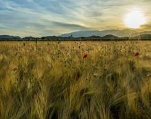 VANGELO DEL GIORNO * Sabato 28 Luglio 2018 VANGELO DEL GIORNO * Sabato 28 Luglio 2018