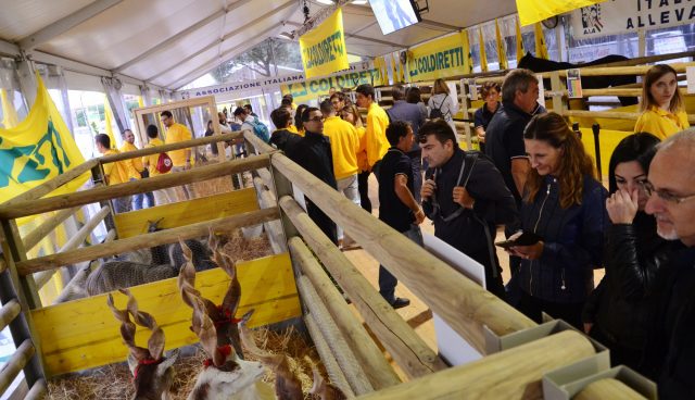 Il Villaggio Contadino di Coldiretti a Roma: un’occasione per riflettere sullo stato dell’agricoltura italiana