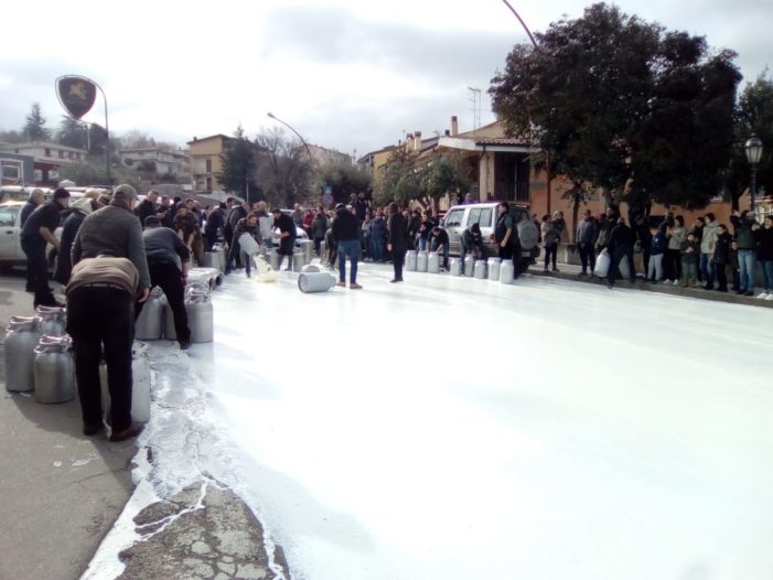 La guerra del latte e le elezioni Regionali in Sardegna.