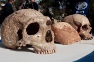 Gibilterra: Ritrovata l’impronta di uno degli ultimi uomini di Neanderthal .