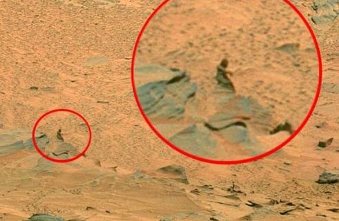 Marte:  figure umane, mirtilli e conigli ecco le scoperte più strane dei rover Opportunity e Spirit sul Pianeta Rosso .