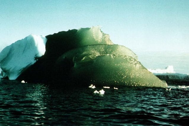 Antartide, risolto il mistero degli spettacolari iceberg verdi: ecco perché sono così.