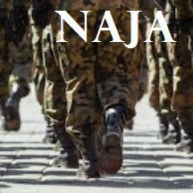 La Camera approva la riforma del servizio militare con 453 sì, arriva la mini Naja.