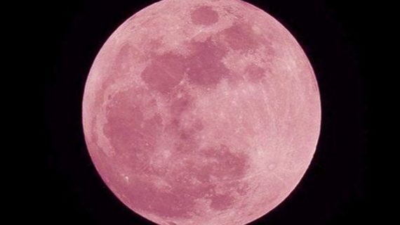 Scienza: la Luna Rosa splende nel cielo di aprile, quando vederla e i suoi segreti.