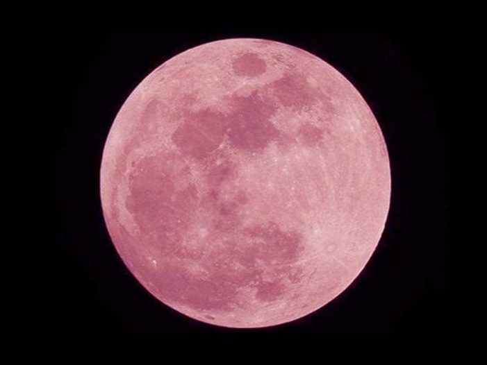 Scienza: la Luna Rosa splende nel cielo di aprile, quando vederla e i suoi segreti.