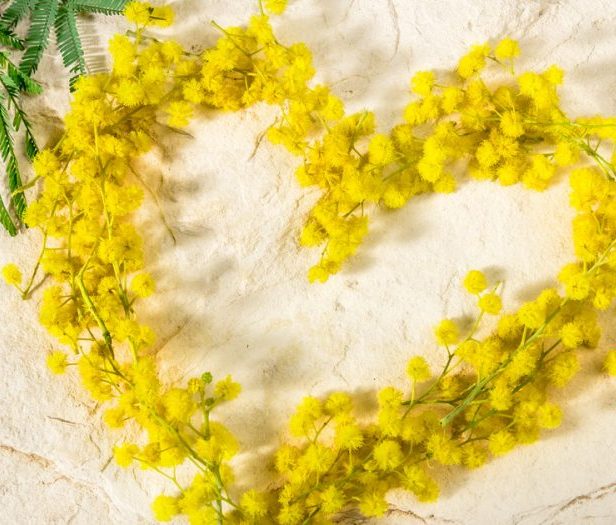 BUONA FESTA DELLA DONNA !