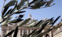 Proposta per santificare degnamente questo fondamentale momento dell’Anno Liturgico: “La benedizione delle Palme” (presso la propria abitazione). * BUONA DOMENICA DELLE PALME ! Proposta per santificare degnamente questo fondamentale momento dell’Anno Liturgico: “La benedizione delle Palme” (presso la propria abitazione). * BUONA DOMENICA DELLE PALME !