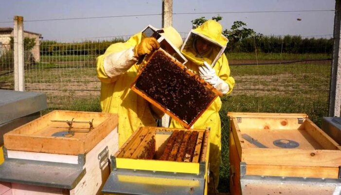 La azienda agricola foggiana “Iannelli Assunta” premiata al concorso Grandi Mieli d’Italia