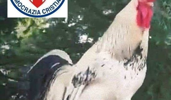 “NATURA NON FACIT SALTUS”: ANCHE LA DEMOCRAZIA CRISTIANA DI COPPARO SI SCHIERA A FIANCO DEL GALLO GARIBALDI ! “NATURA NON FACIT SALTUS”: ANCHE LA DEMOCRAZIA CRISTIANA DI COPPARO SI SCHIERA A FIANCO DEL GALLO GARIBALDI !